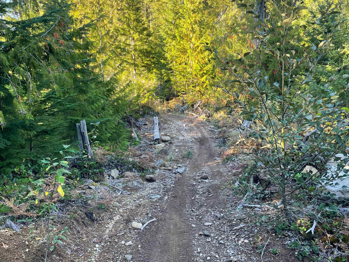 Deep Woods Part 2 photo 5