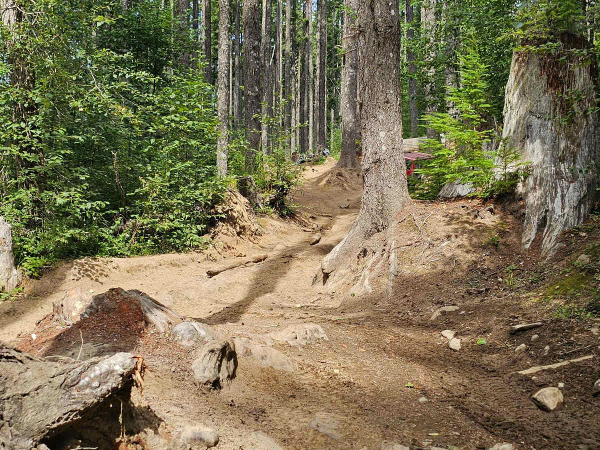 Busywild Trail photo 5