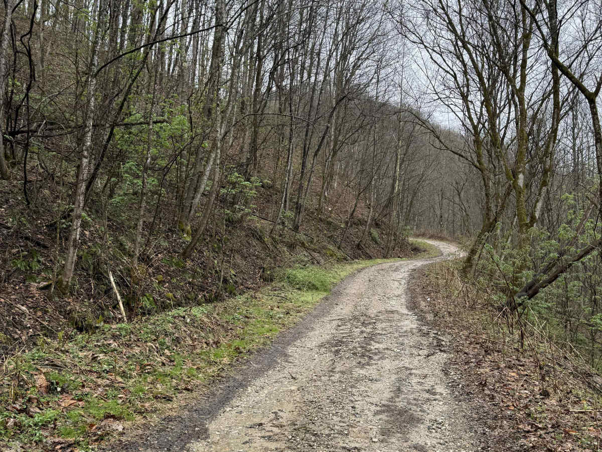 Q9 trail photo