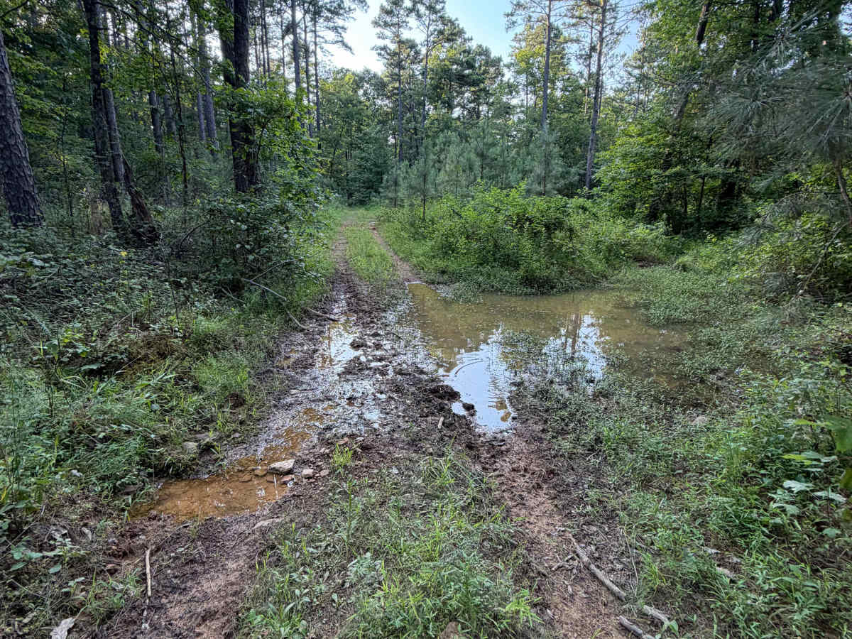 Mud Season photo 6