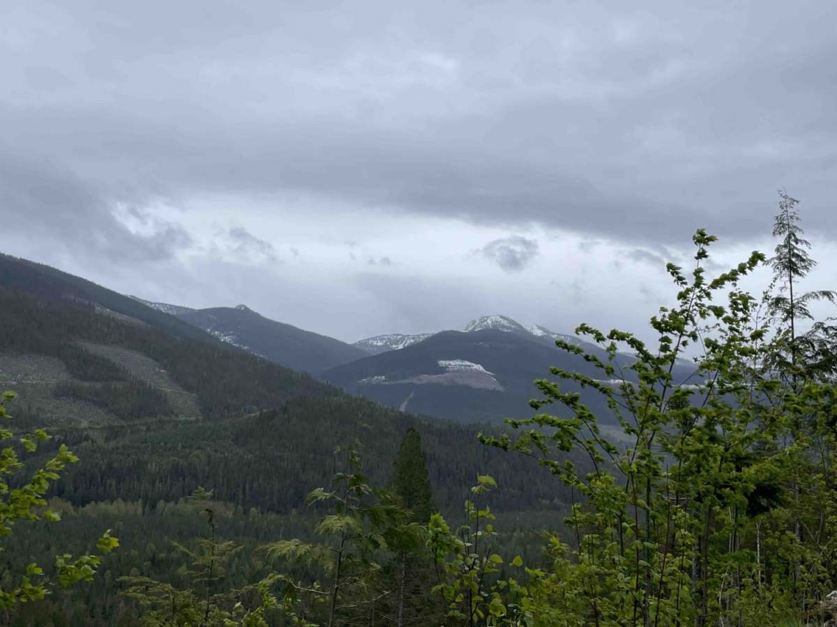 3 Valley Mabel Lake FSR Road to Kingfisher trail photo
