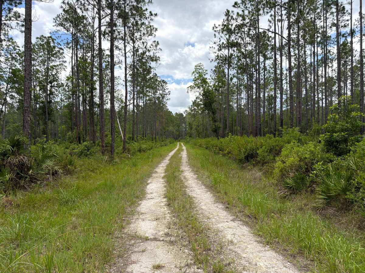 Sandy Drain Road trail photo