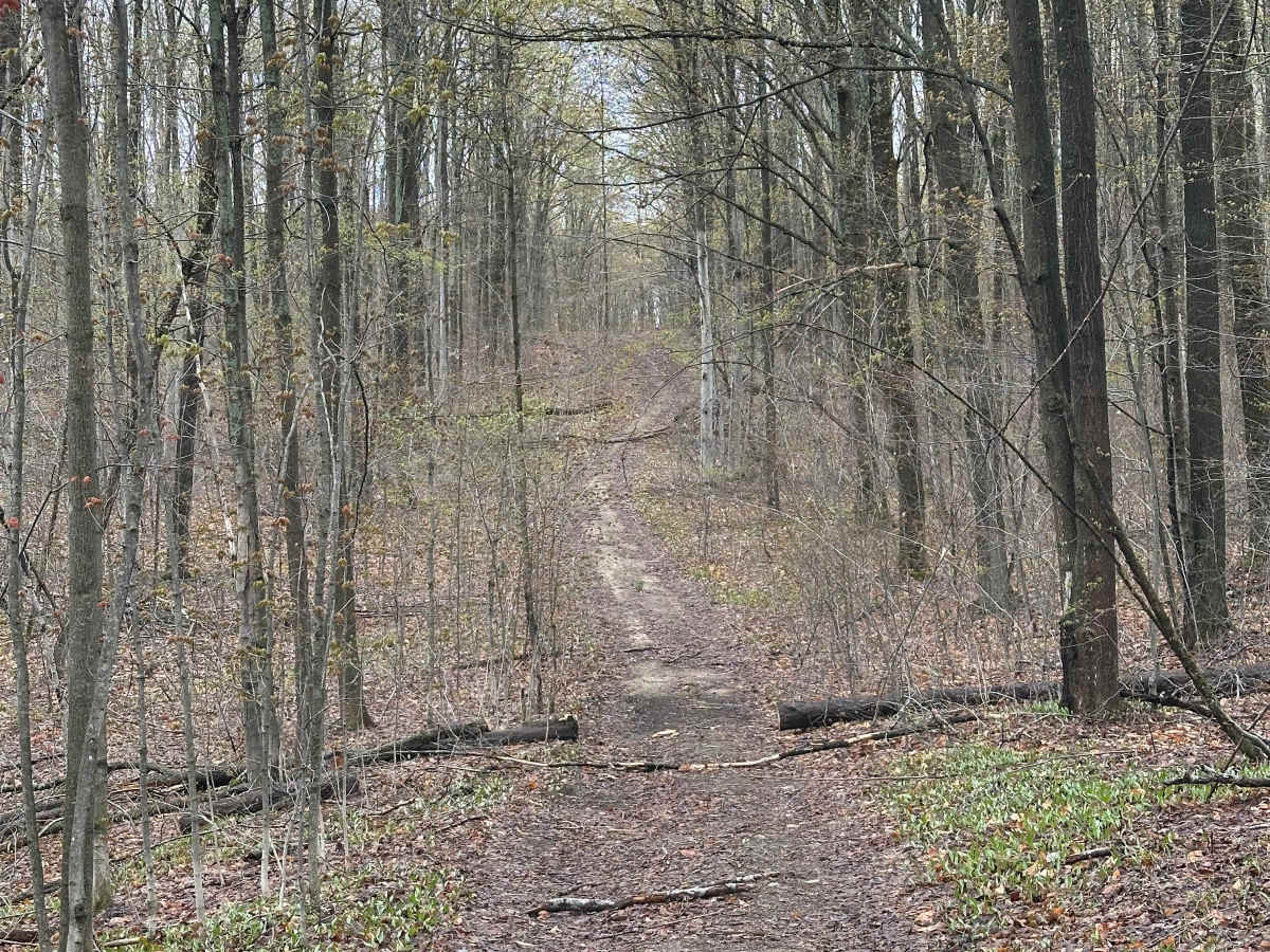 Post Road Cutover photo 5