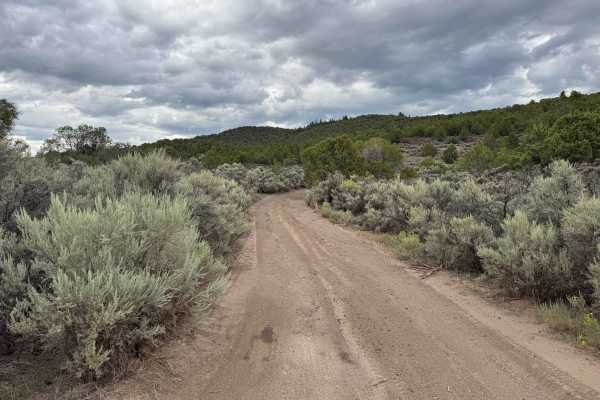 BLM 2722