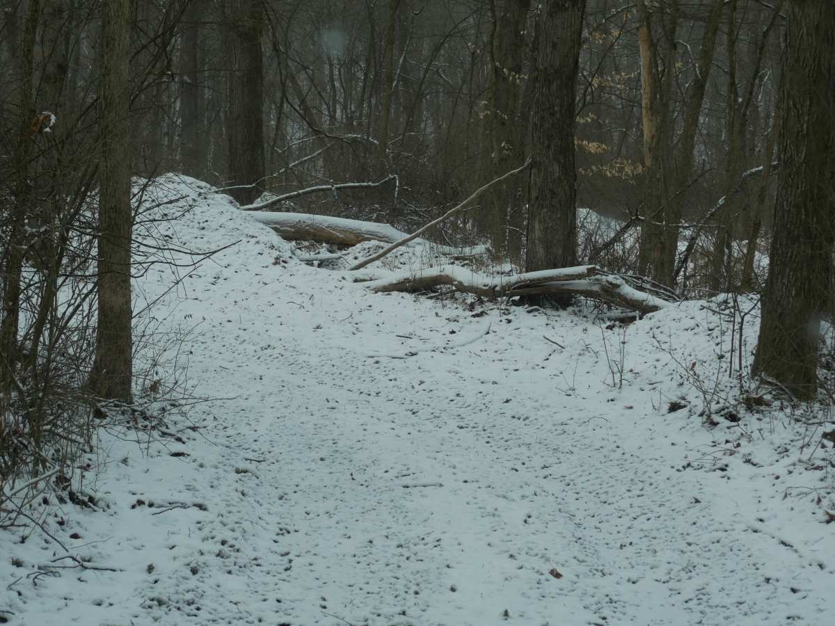 Trail 6 / John's Trail  photo 4