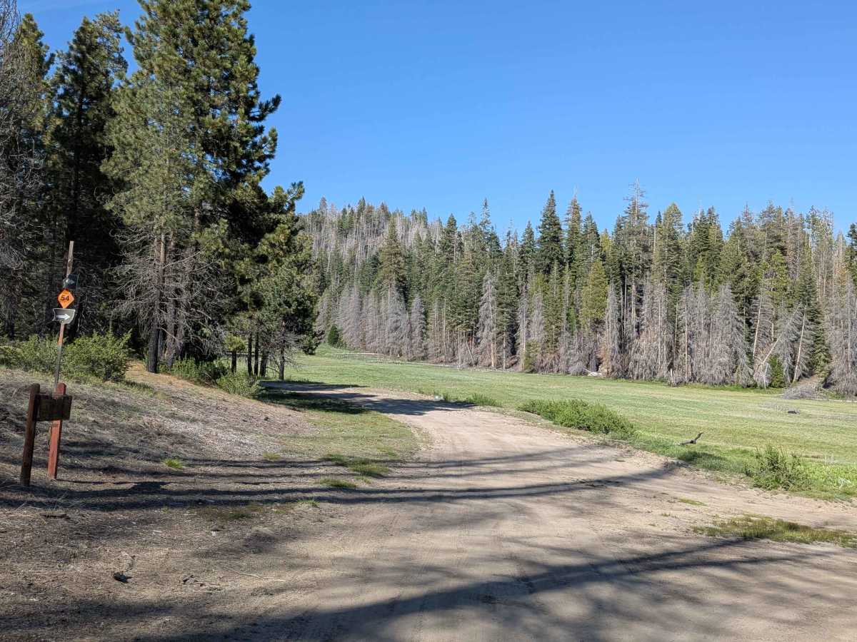 Horse Meadow Creek - FS 22S04 photo 5