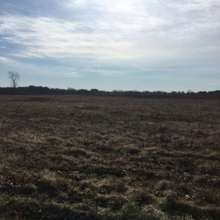 Near Bobolink Grassland Trail