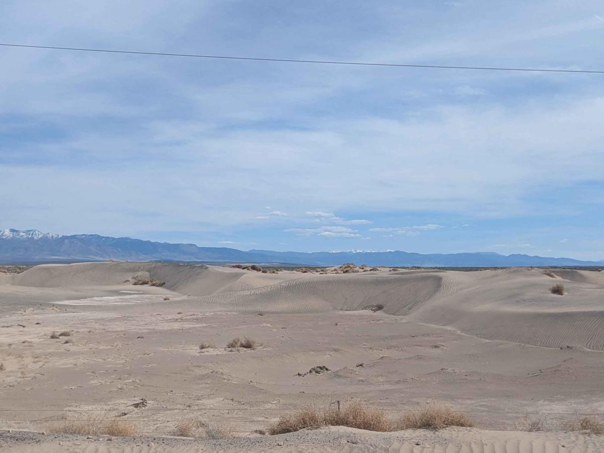 Sheep Trail Road photo 5