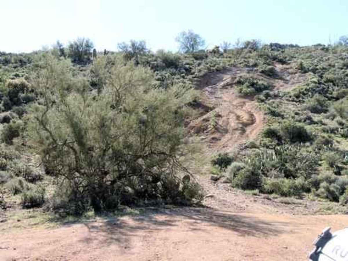 Superstition Backroads photo 5