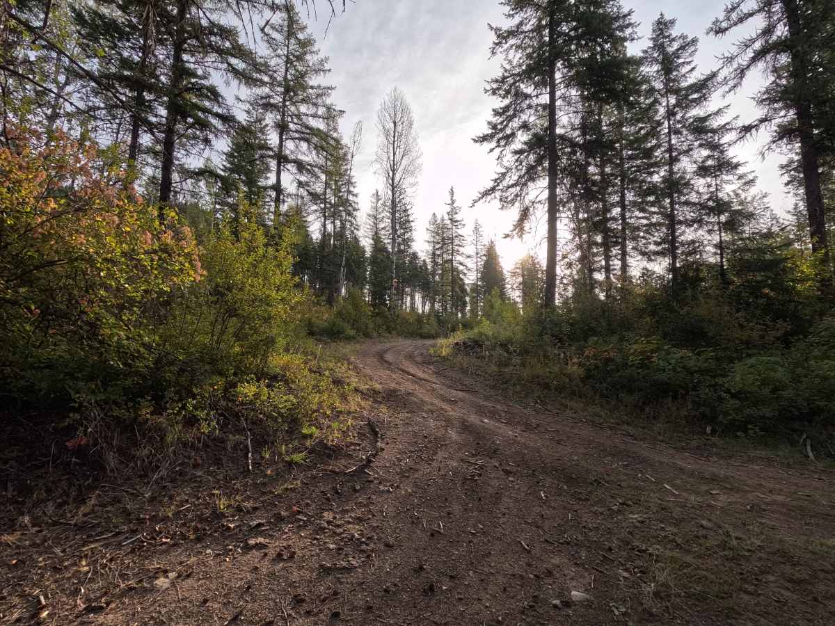 FS 7005374 trail photo