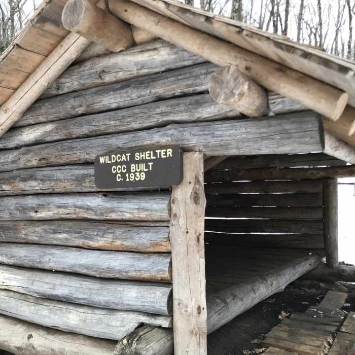 Wildcat Shelter Near Beartown Mountain Trail