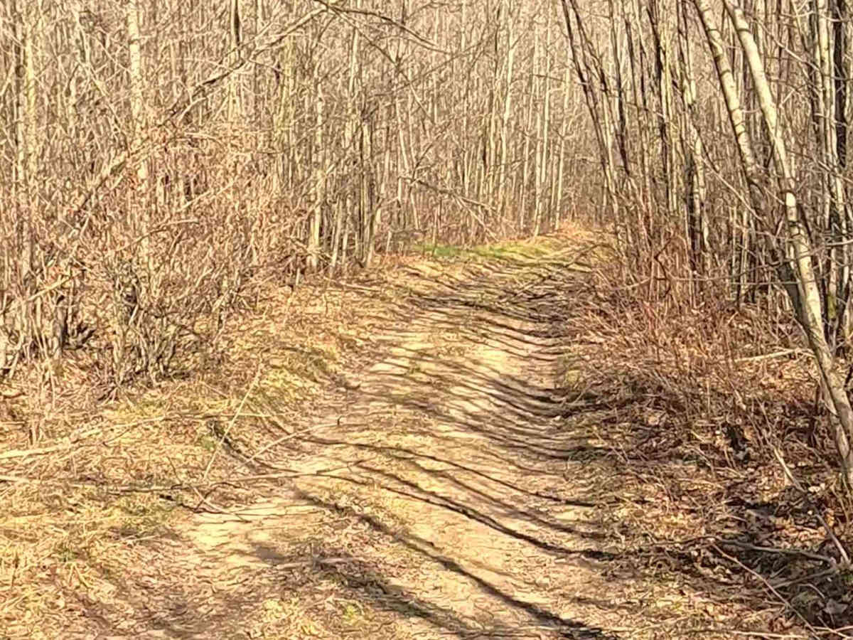Greve Road - FS 4321 photo 3