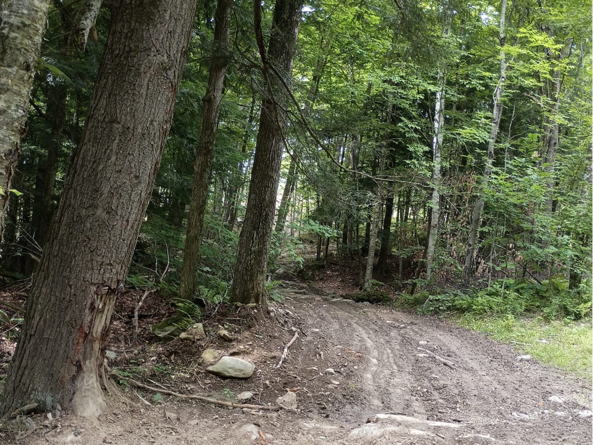 Cliffard Pond Trail photo 4