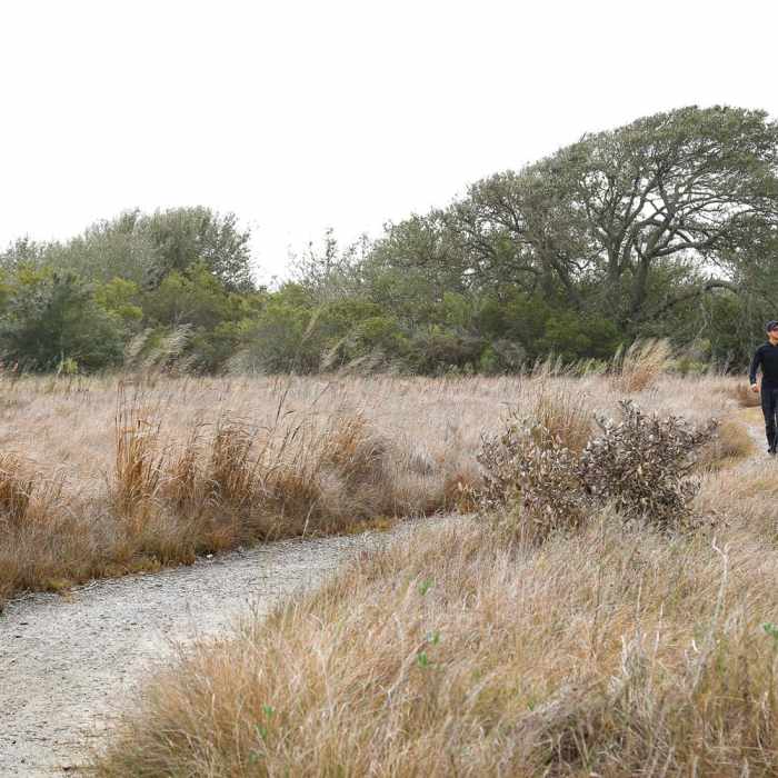 Near Fiddlers Loop Nature Trail Near Fiddlers Loop Nature Trail