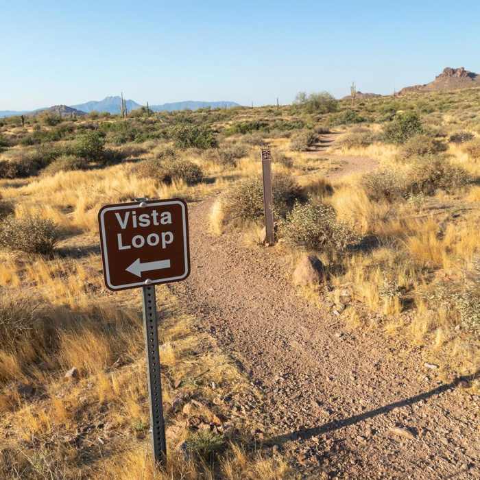 Near Mountain Bike Trail