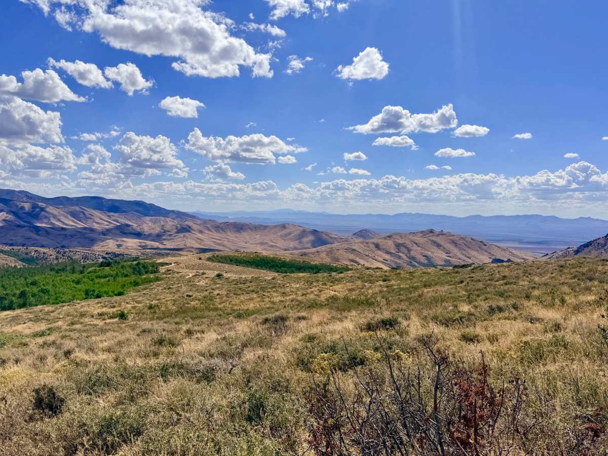  Arizona Spring - FS 57107A photo 5