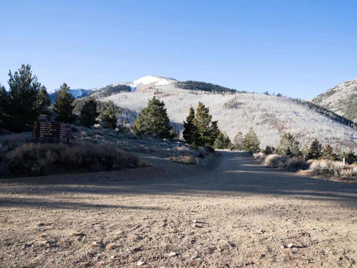 Bull Creek Pass Road photo 3