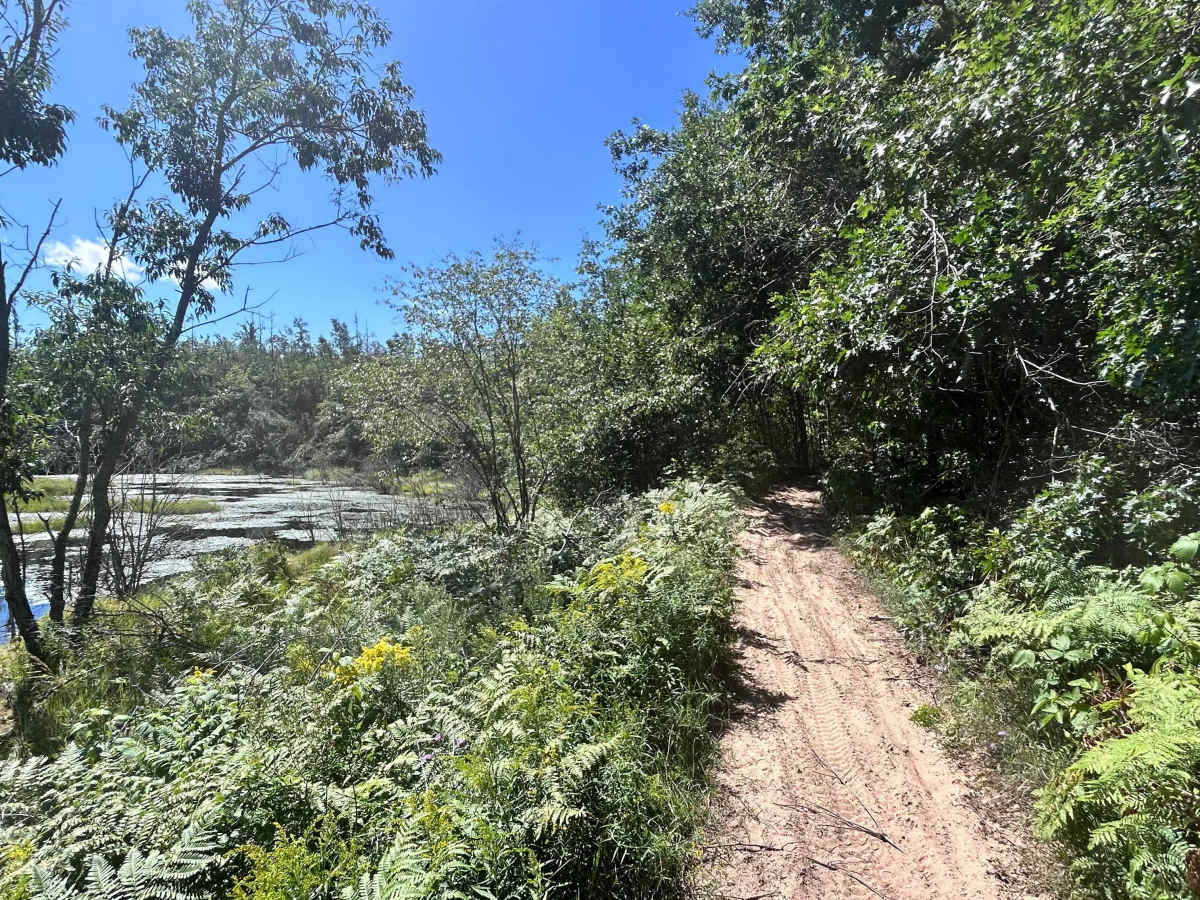 Big Bear Connector  photo 4