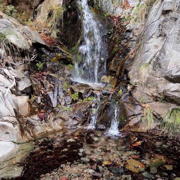 Near Kent Spring Trail #157