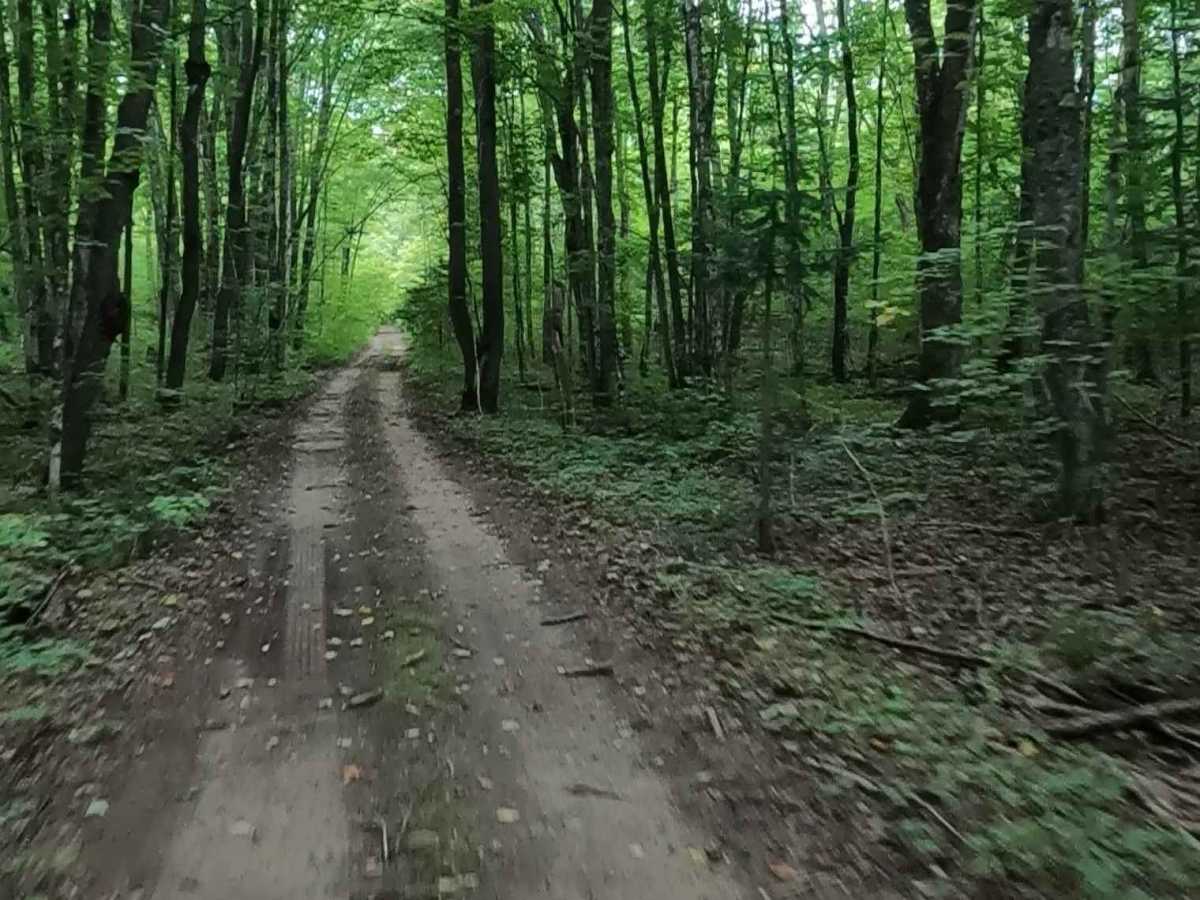 De Mull Creek Trail photo 3