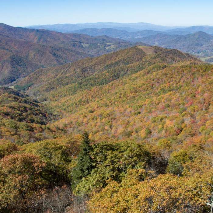 Near Frying Pan Lookout Tower Near Frying Pan Lookout Tower