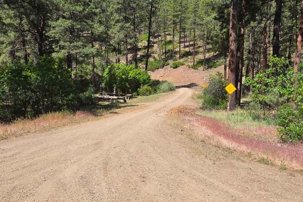 Bull Creek Trail - FS 682