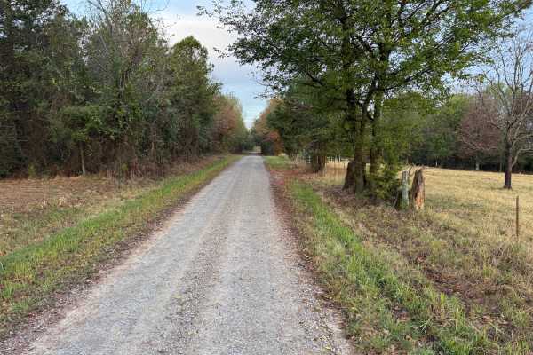 Mount Salem Road