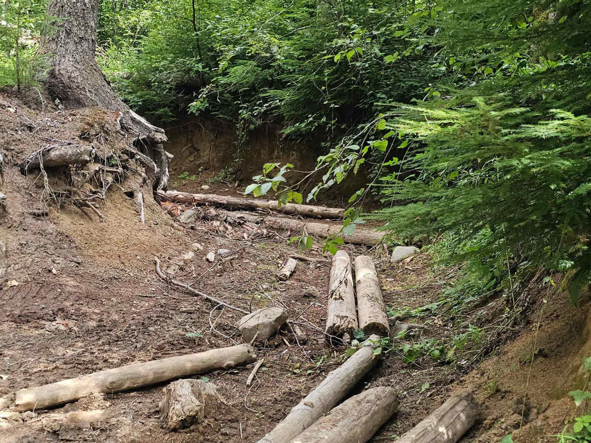 Busywild Trail photo 4