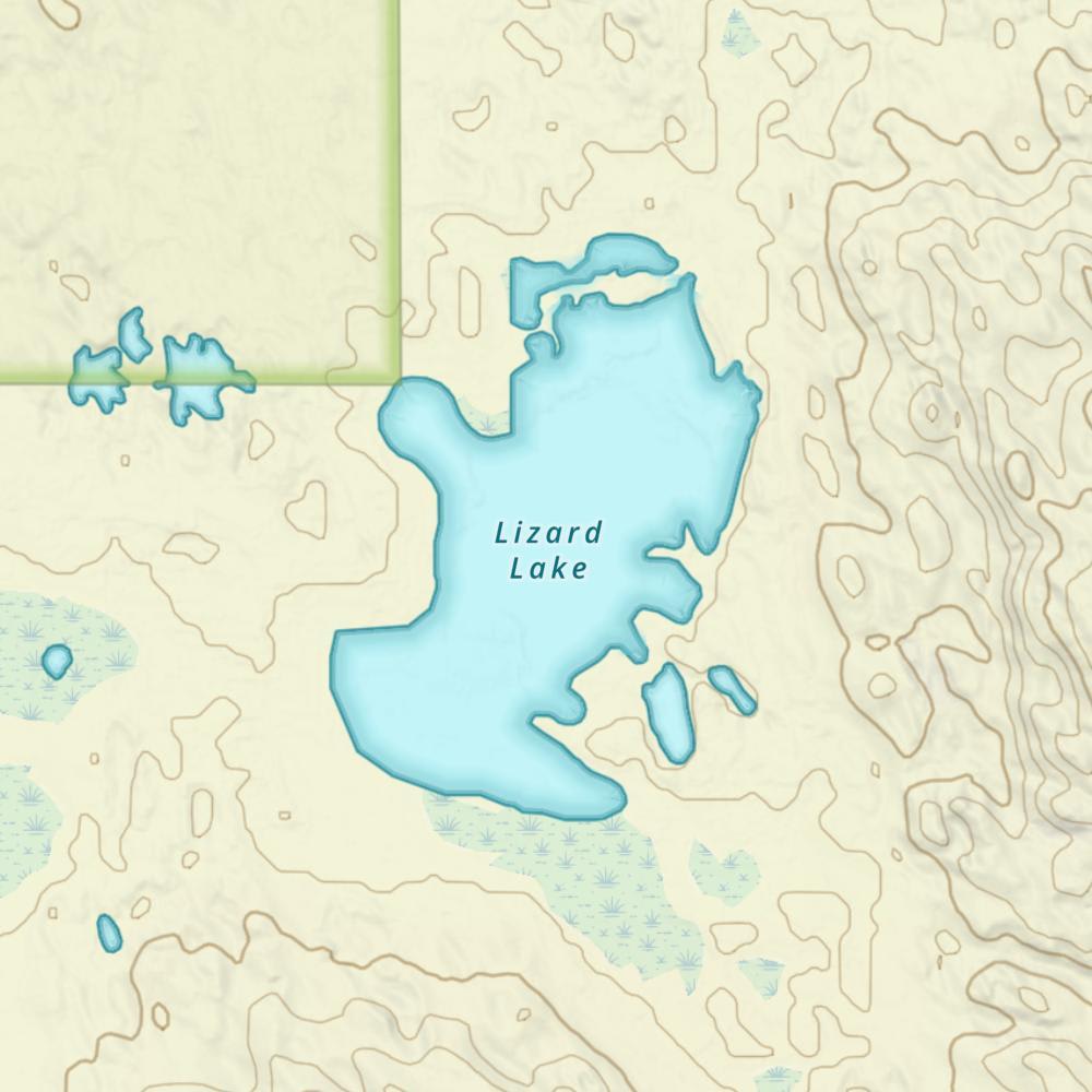 Lizard Lake photo