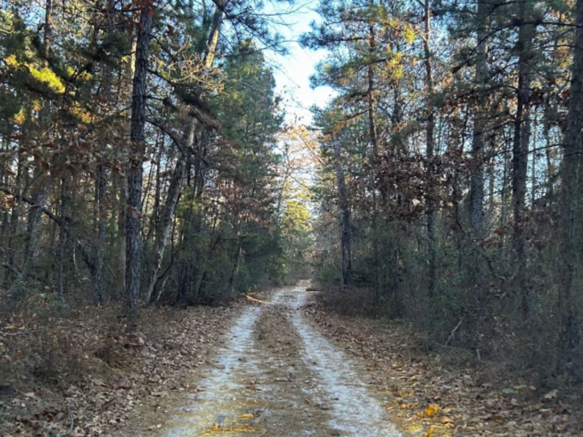 Marcus Trail photo 5
