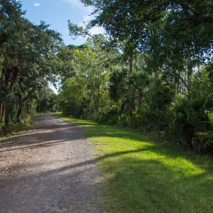 Near White Point Beach Hike