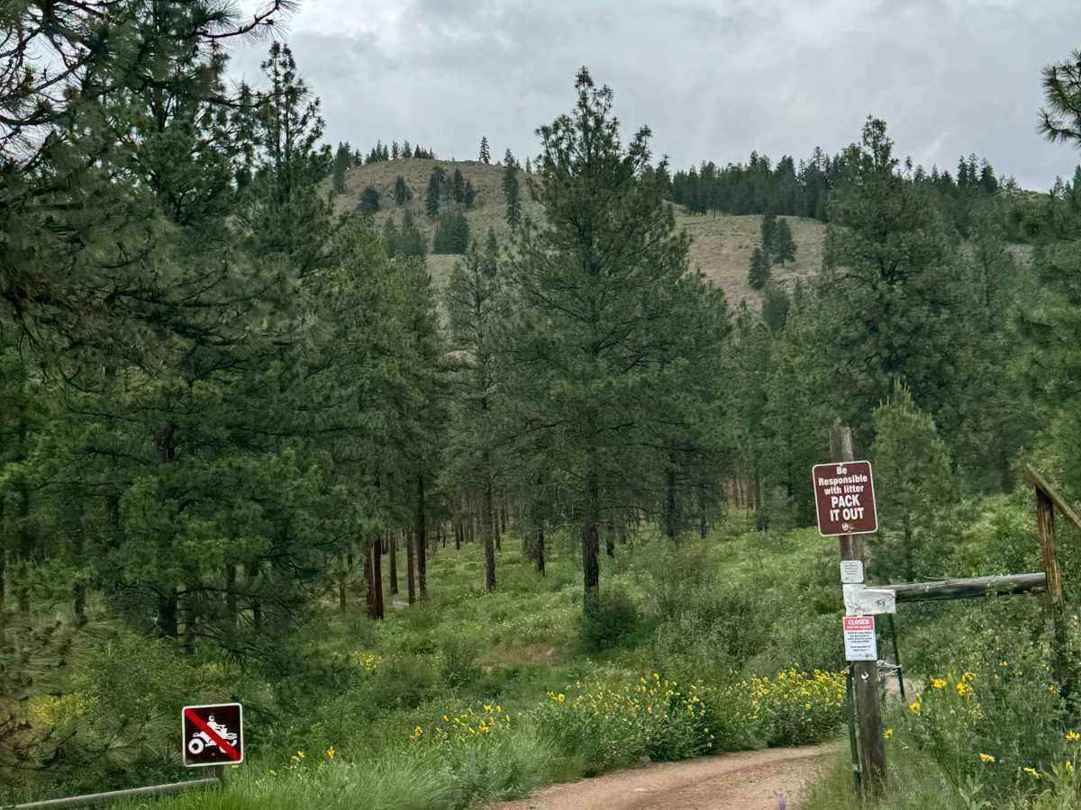 Pearrygin Creek Road photo 2