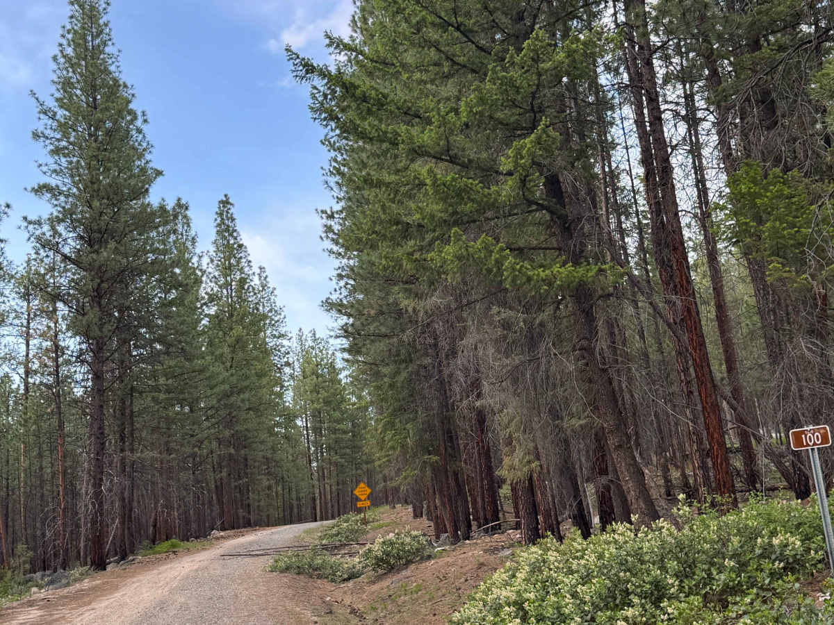 FS 5010-100 trail photo