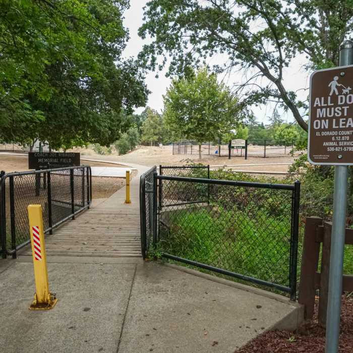 Near New York Creek Nature Trail
