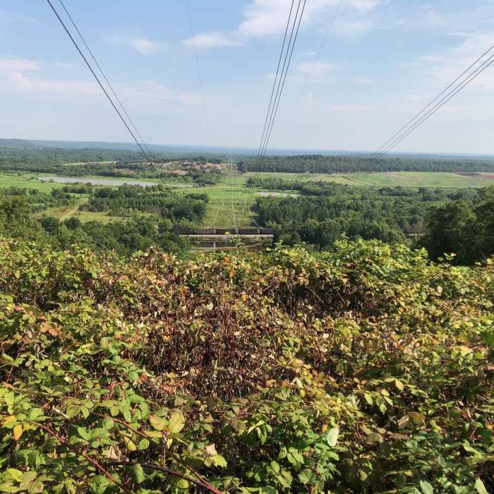 Near Upper Cadron Ridge Trail