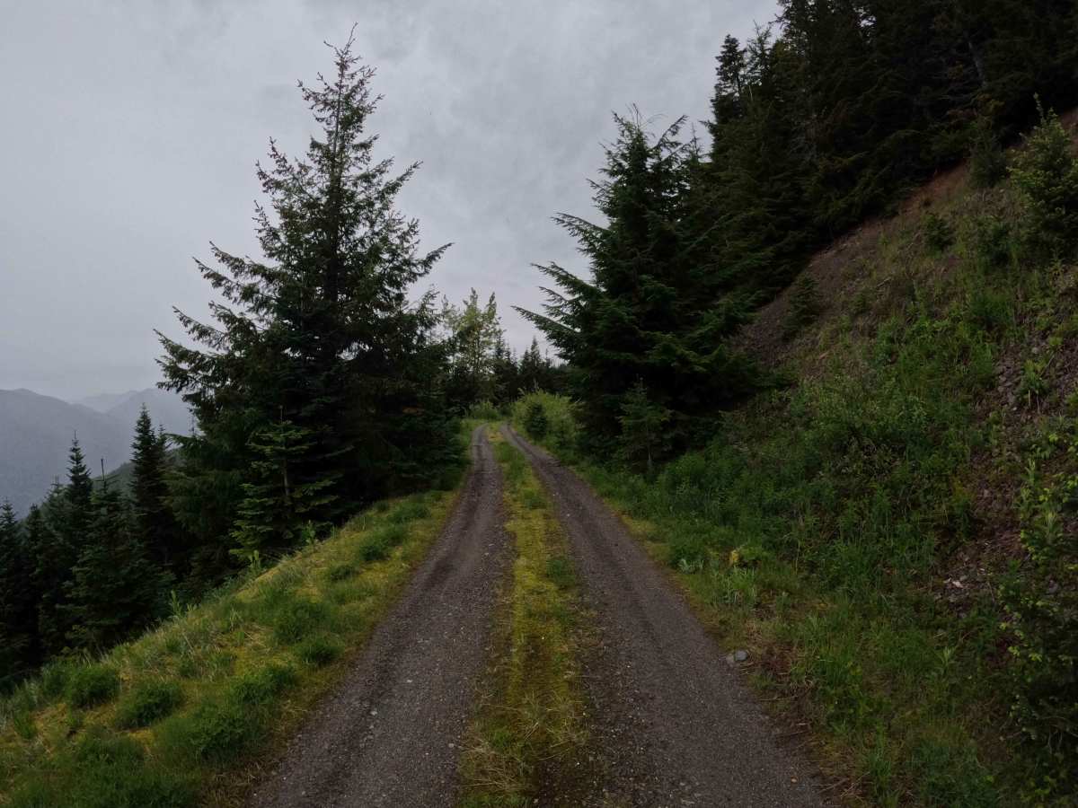 Leonard's Ridge - FS 1709 photo 5