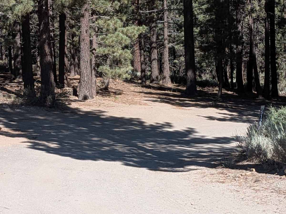 Mammoth Knolls Loop FS 3S123 photo 2