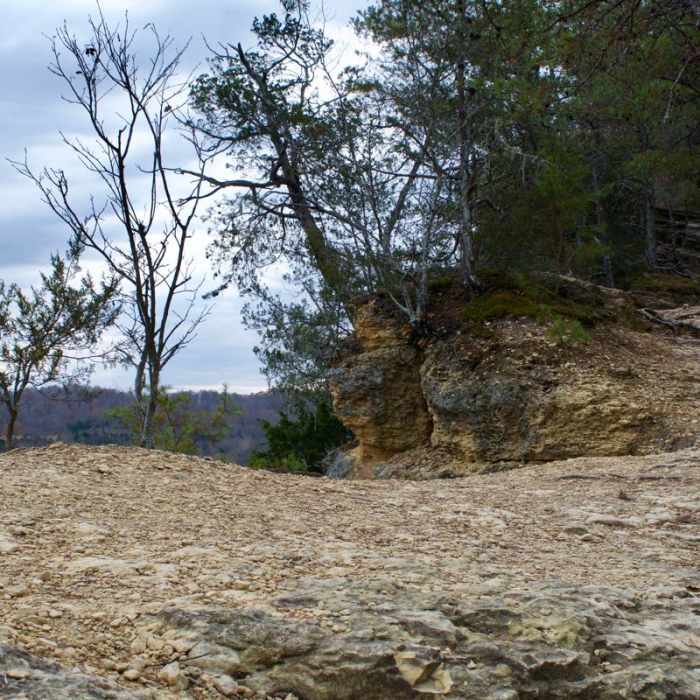 Near Narrows of the Harpeth