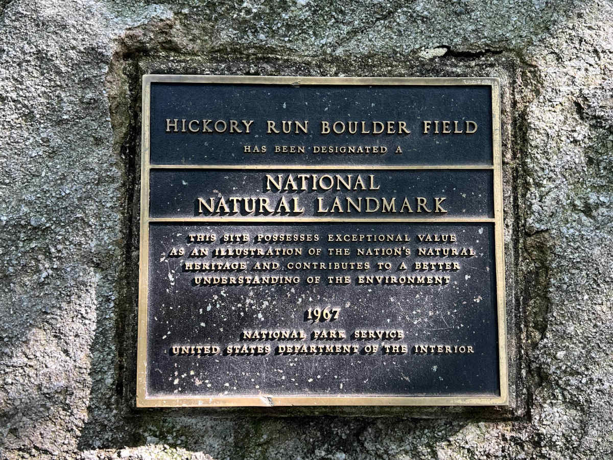 Boulder Field Road photo 6