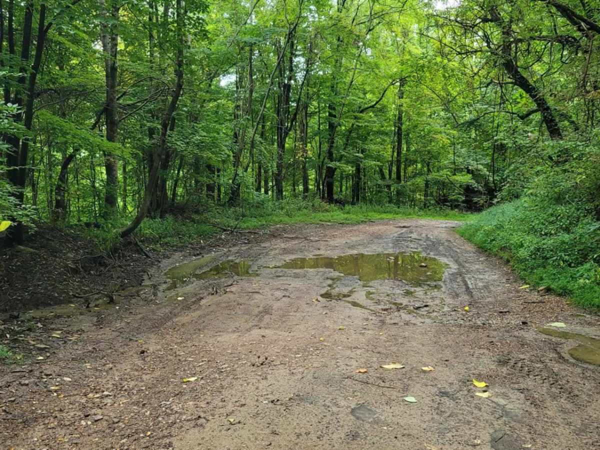 Trail 5 - Flat Gap photo 3
