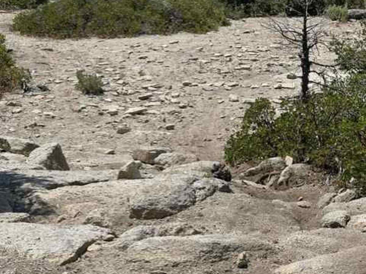 Secret Single Track (007 additional trail) photo 3
