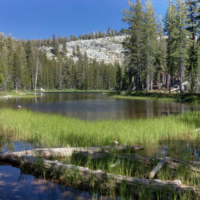 Near Chilnualna Creek Trail