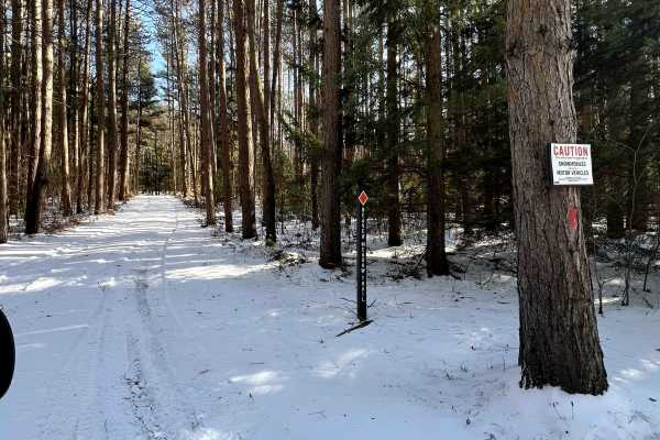 Beaver Meadow Trail
