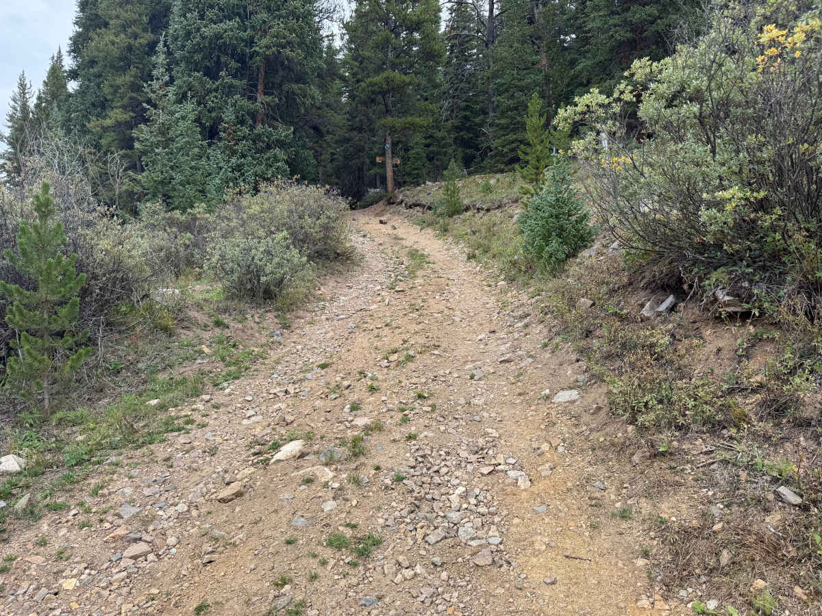 Cooper Loop trail photo