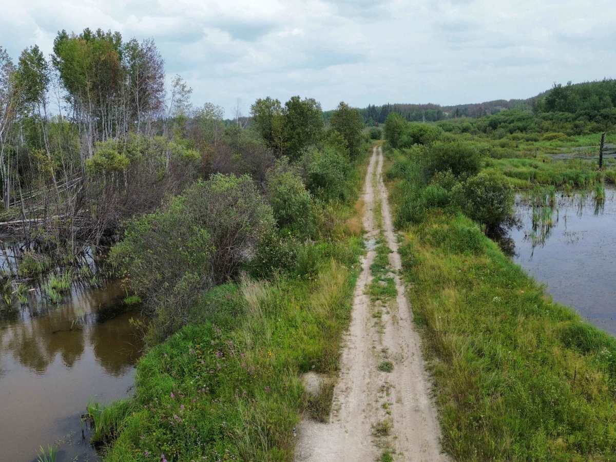 Beaver Creek Road photo 6