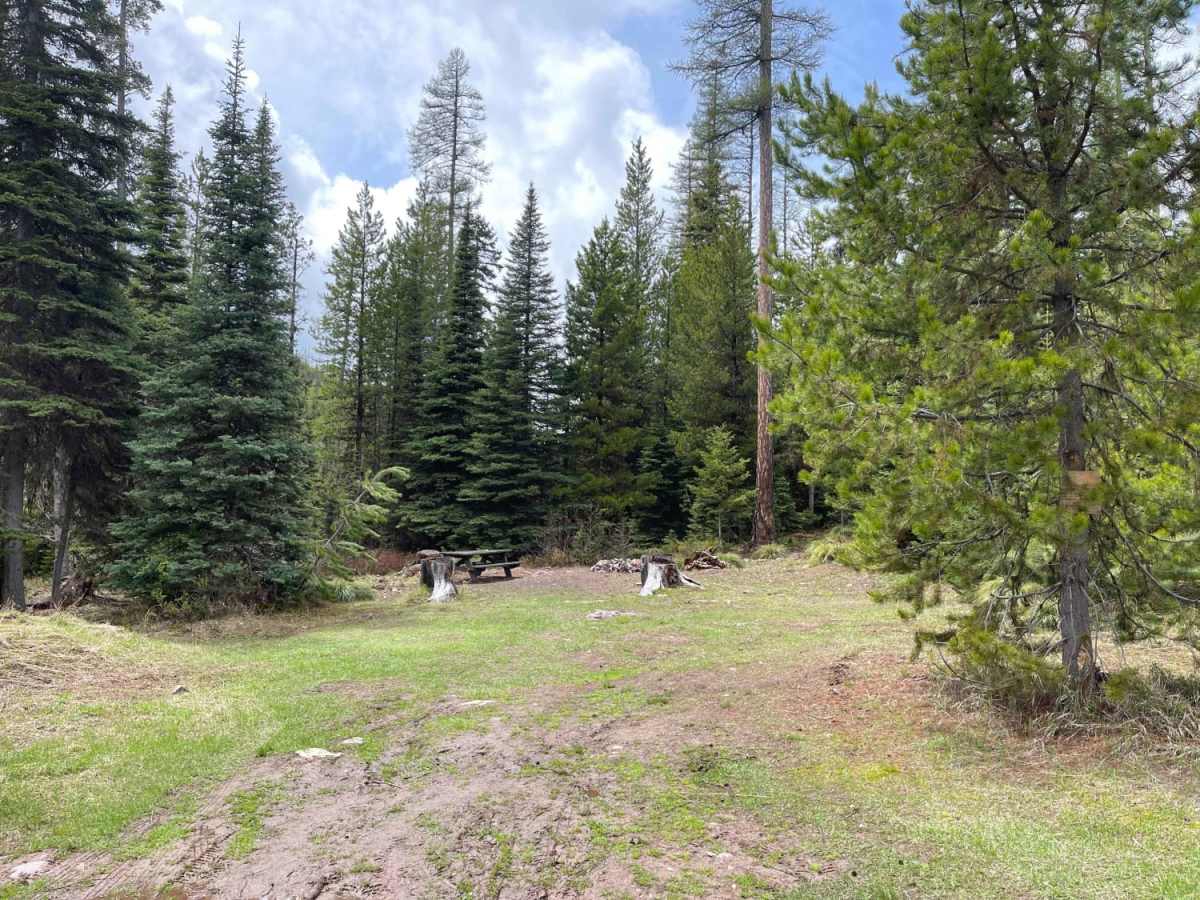 Lake Marshall photo 6