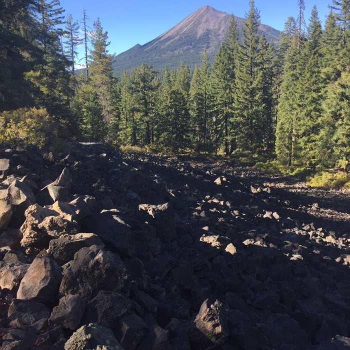 Near Fish Lake to Brown Mountain Shelter