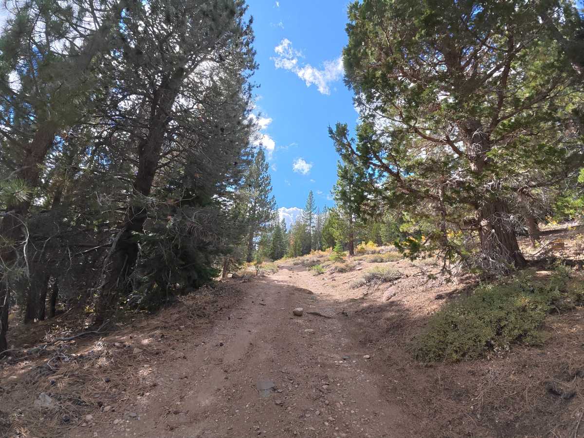 Creek Road Spur F photo 5
