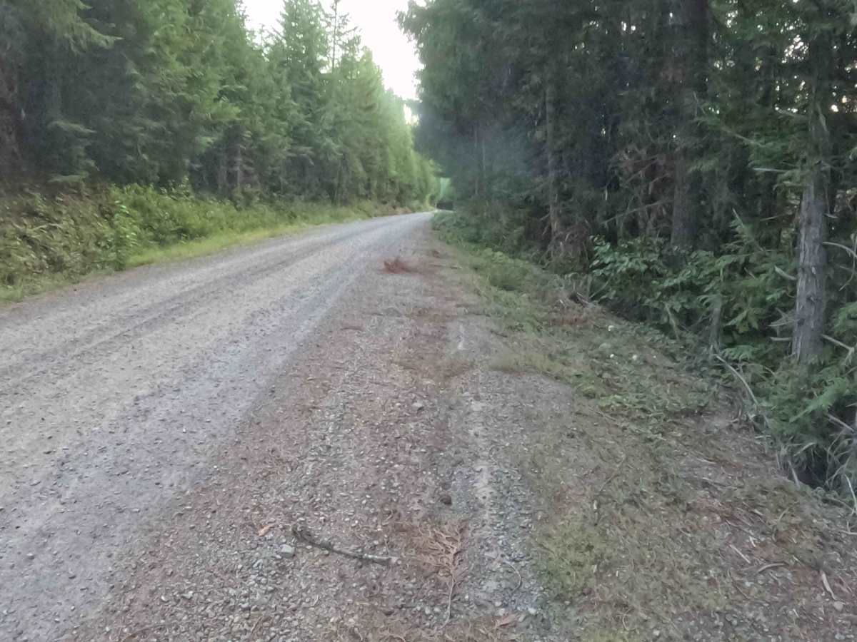 Parks Creek Road - FS 2067560  photo 6