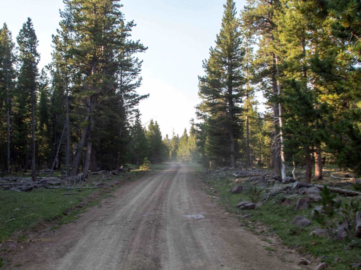 Windy Park - FS 10545 photo 6